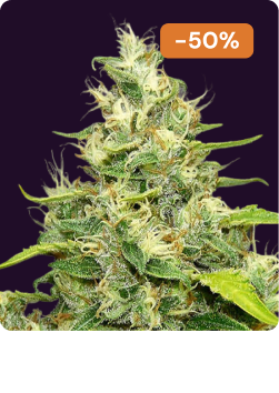 Blue Gelato Halloween-1